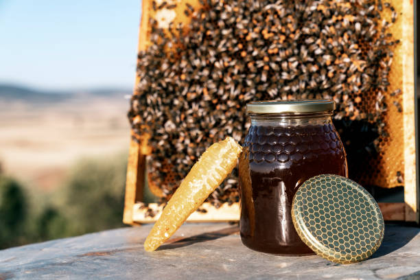 istock Glass can full of honey 1171884059