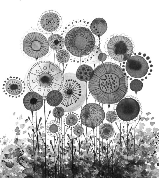 ilustrações, clipart, desenhos animados e ícones de desenhos feitos à mão da tinta com motivos florais que assemelham-se aos dandelions, preto e branco - disappearing nature vertical florida