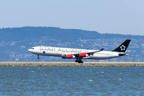 sas aircraft (with star alliance livery) landing at san francisco international airport (sfo) - san francisco international airport san francisco bay area sfo airplane imagens e fotografias de stock