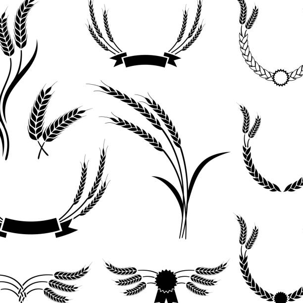 ilustraciones, imágenes clip art, dibujos animados e iconos de stock de trigo & blanco negro sin royalties de vector icono conjunto. - winter wheat