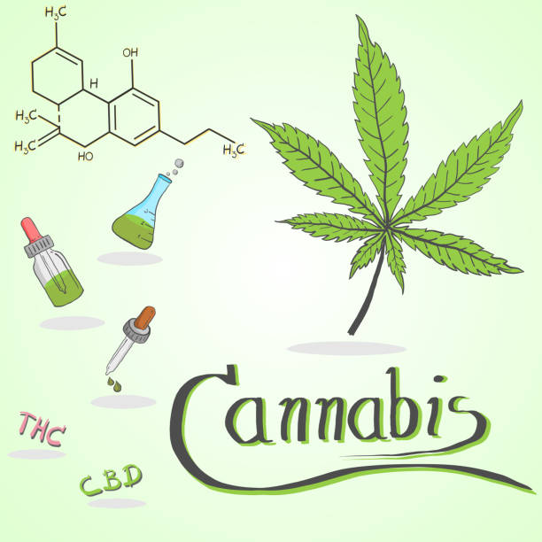 Cannabis oil and chemical formula of Marijuana. Cannabis oil and chemical formula of Marijuana. Alternative medicine to treat various diseases. cannabis-processing-facility stock illustrations