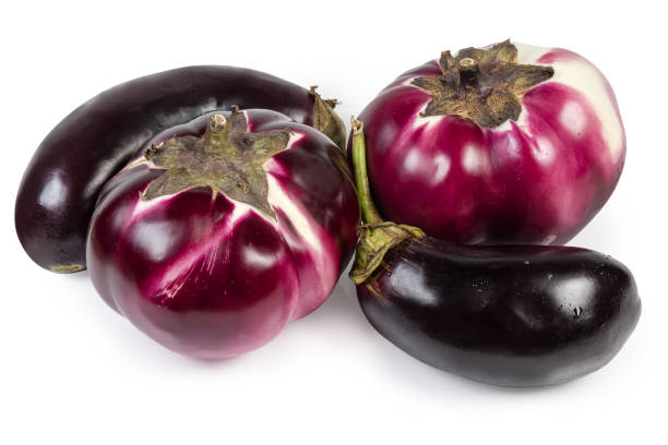 istock Eggplants Helios and purple conventional eggplants on a white background 1171892021