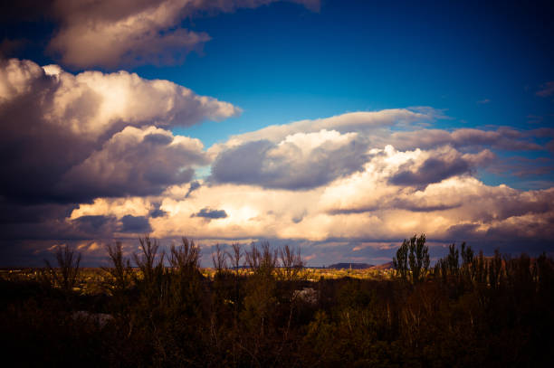 Autumn landscape with trees in sunlight, autumn landscape