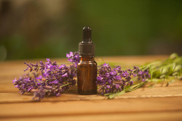 istock lavender essential oil in  beautiful bottle on table 1171898031