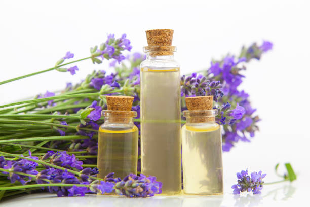 istock lavender essential oil in  beautiful bottle on White background 1171898101