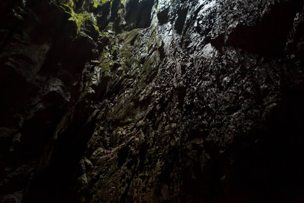 istock Cave opening at Gunun Mulu national park 1171899007
