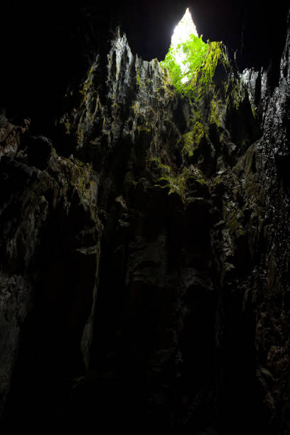 istock Cave opening at Gunun Mulu national park 1171899039