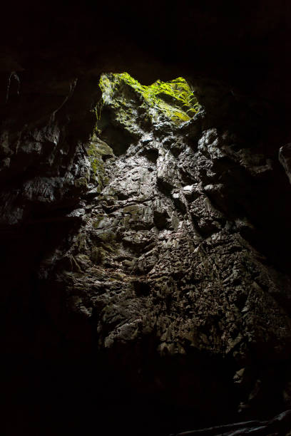 istock Cave opening at Gunun Mulu national park 1171899056