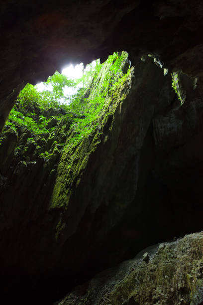 istock Cave opening at Gunun Mulu national park 1171899077
