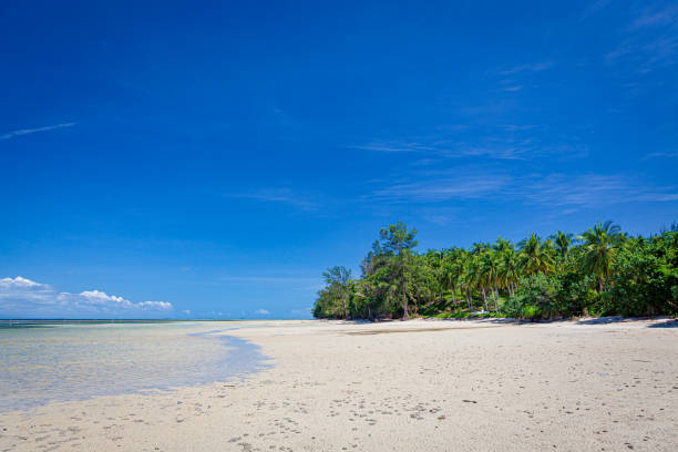 istock Low tide in beach borneo malaysia landscape 1171899135