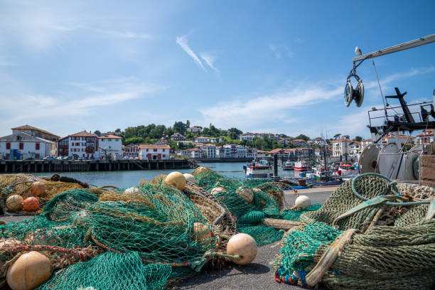 istock Trawler with fish nets at the port 1171899147