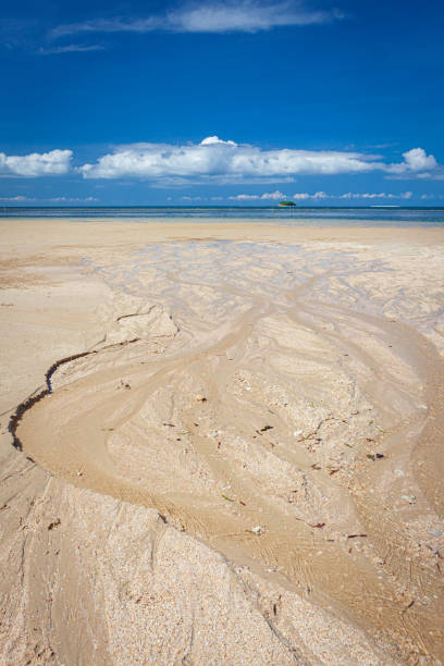 istock Low tide in beach borneo malaysia landscape 1171899692