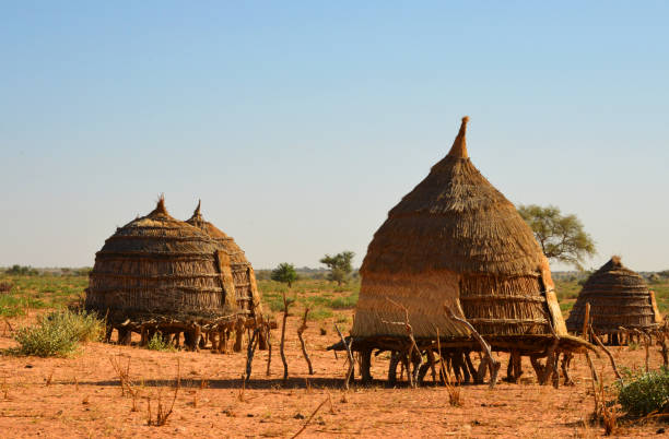 African village - thatched straw huts on stilts, Baboussay, Niger Baboussay, Tillabéri Region, Niger: thatched straw huts on stilts - African village scene thatched roof hut straw grass hut stock pictures, royalty-free photos & images