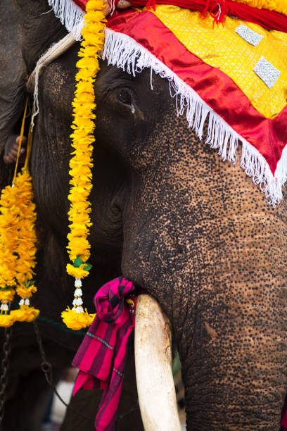 istock Detail of thai elephant with decor 1171900432