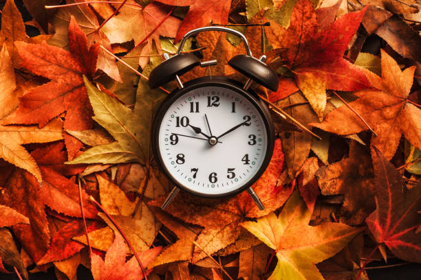 istock Autumn season time, retro vintage alarm clock 1171903304