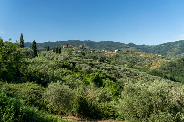istock Rural landscape from Buggiano Castello, Tuscany 1171903643