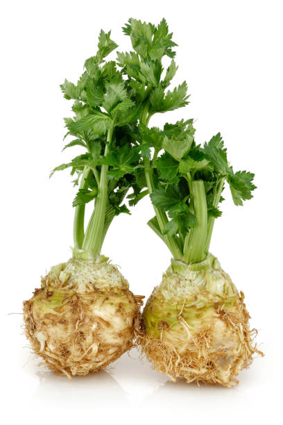 radice di sedano di fresco con gambi di sedano isolati - celery leaf celeriac isolated foto e immagini stock