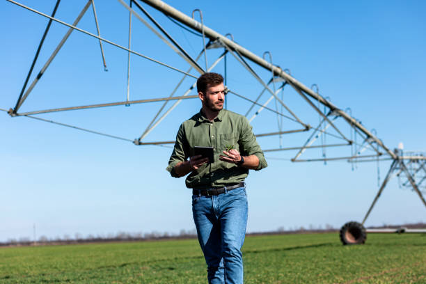 istock Young farmer standing in wheat field and setup irrigation system on tablet. 1171909142