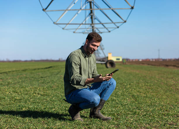 istock Young farmer standing in wheat field and setup irrigation system on tablet. 1171909144