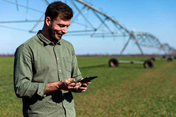 istock Young farmer standing in wheat field and setup irrigation system on tablet. 1171909376