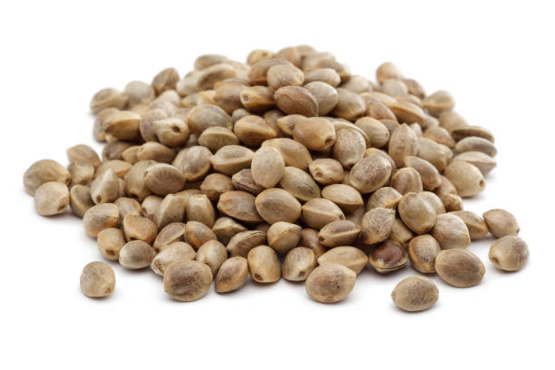 Heap of dry hemp seeds isolated on white