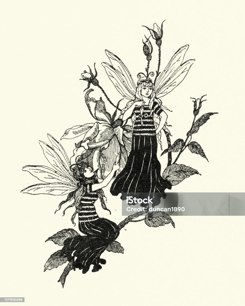 Ilustración de Hadas De Flores Grabado Del Siglo Xix y más Vectores Libres  de Derechos de Hada - Hada, Disfraz de hada, De Archivo - iStock