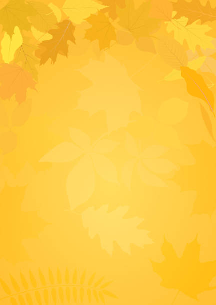autumn autumn background with leaves fall backgrounds stock illustrations