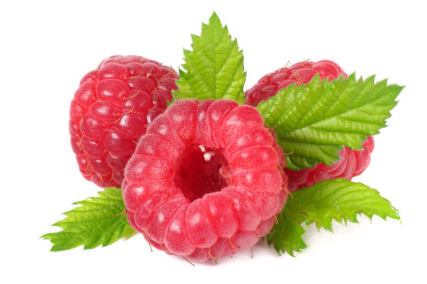 istock ripe raspberries with green leaf isolated on white background macro 1171913496