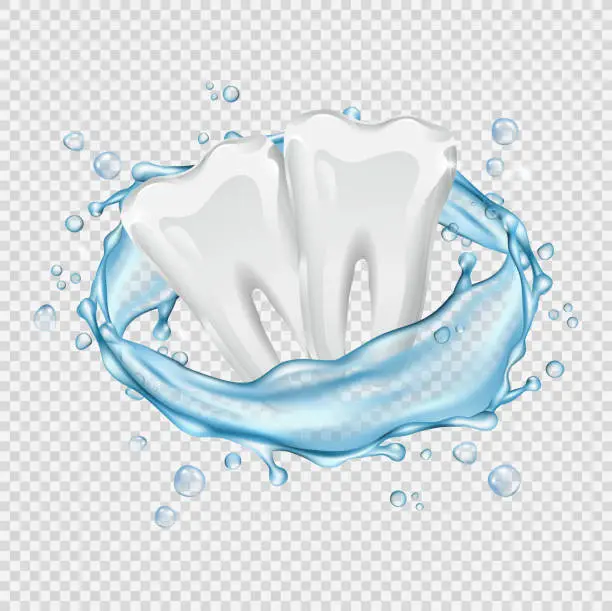 Vector illustration of Realistic teeth. Vector clean white teeth and water splash isolated on transparent background