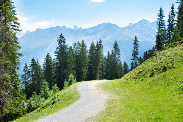 istock Hiking Trail In Mountains 1171914804