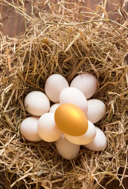Photo of invest in gold egg
