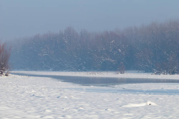 Frozen lake in forest. winter lake under snow