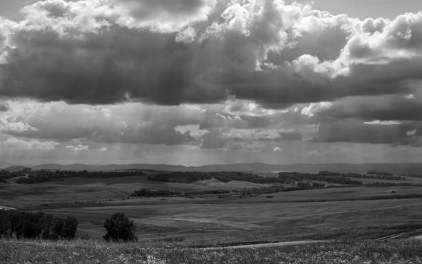 istock black and white landscape agricultural fields, forest, road, sunlight breaking through the clouds 1171916308