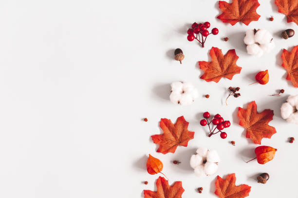 istock Autumn composition. Pattern made of flowers, maple leaves on gray background. Autumn, fall, thanksgiving day concept. Flat lay, top view, copy space 1171916753