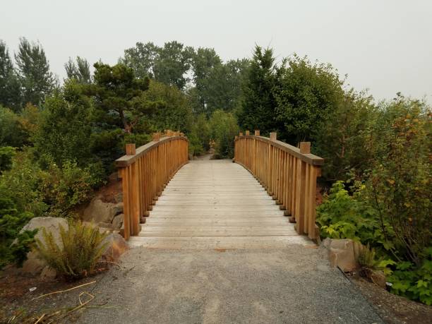 istock trees with green leaves and wooden bridge 1171916810