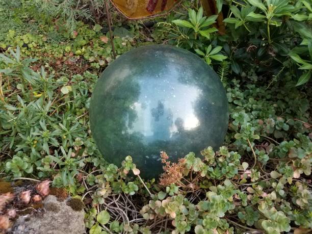 istock green plants and reflective glass sphere or ball 1171917017