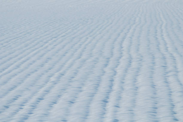 istock Grain field snow covered. Agriculture field under snow. 1171917794
