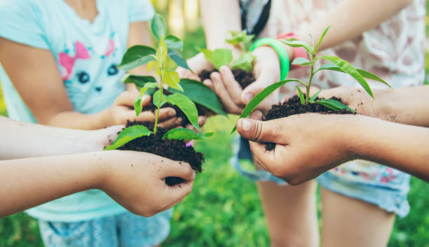 istock children plant plants together in their hands. Selective focus. 1171917998