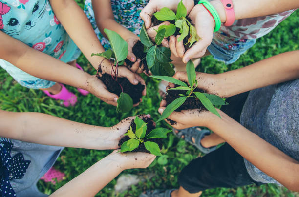 istock children plant plants together in their hands. Selective focus. 1171918010