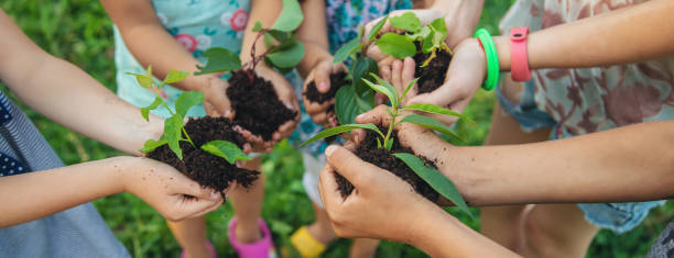 istock children plant plants together in their hands. Selective focus. 1171918011
