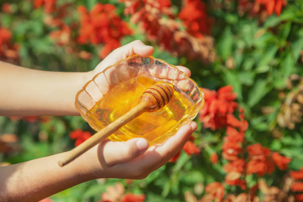 istock Child a plate of honey in the hands. Selective focus. 1171918052