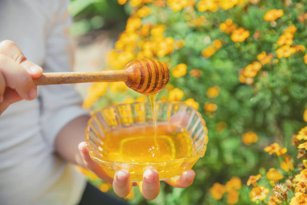 istock Child a plate of honey in the hands. Selective focus. 1171918054