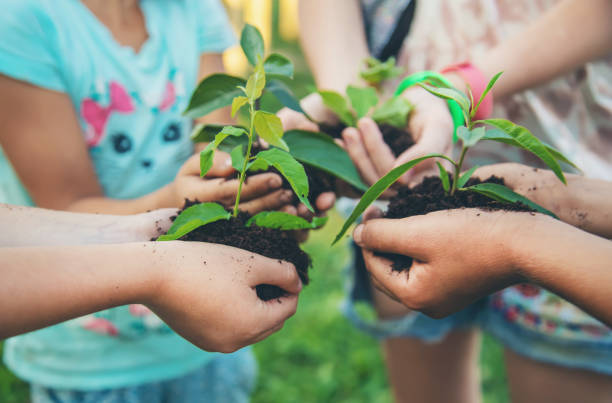 istock children plant plants together in their hands. Selective focus. 1171918123