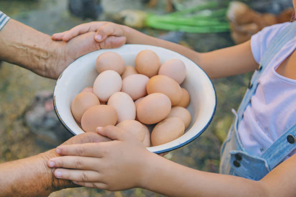 istock homemade eggs in grandmother's hands. Selective focus. 1171918128