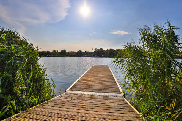 istock lake footbridge in the summer 1171920417