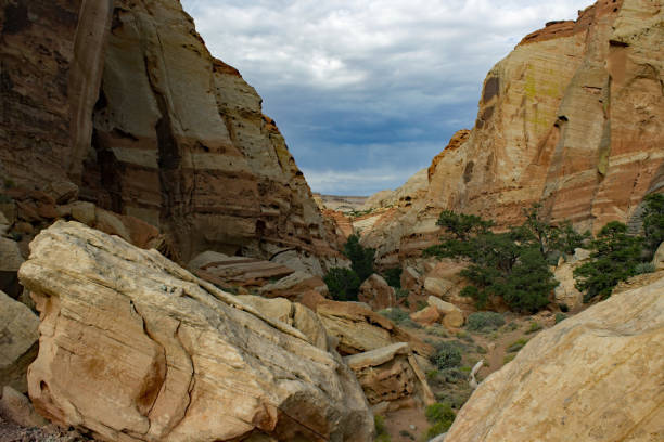 istock Capitol Reef National Park - Utah - USA 1171921050