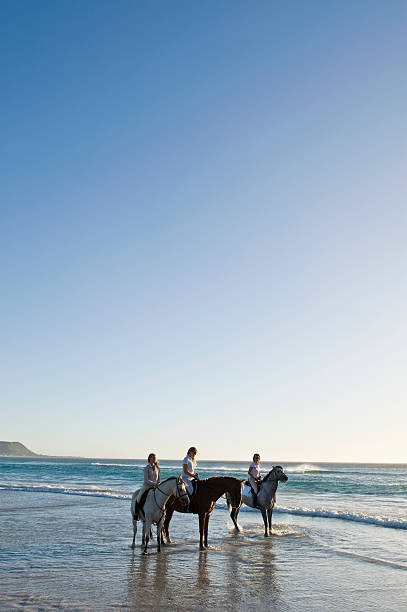 3 people riding horses on the beach  beauty in nature vertical africa southern africa stock pictures, royalty-free photos & images