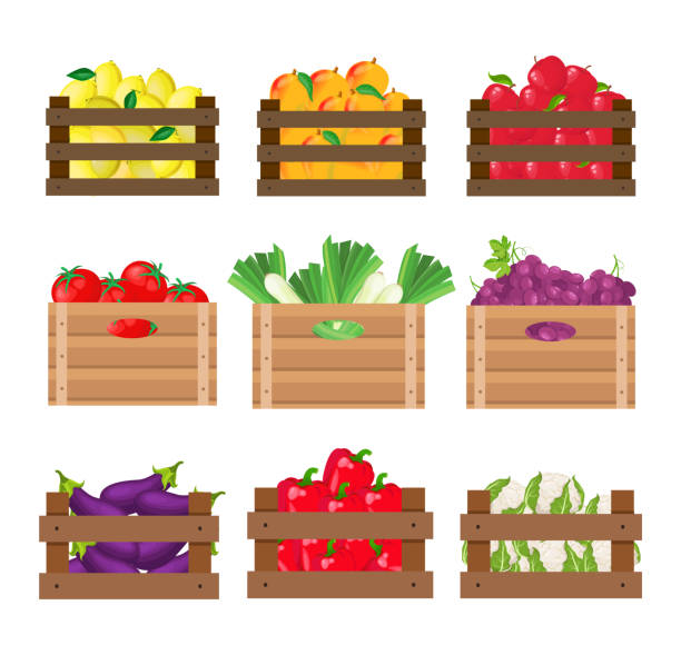 fruits and vegetables in wooden crates Set of fruits and vegetables in wooden crates on white background wood box stock illustrations