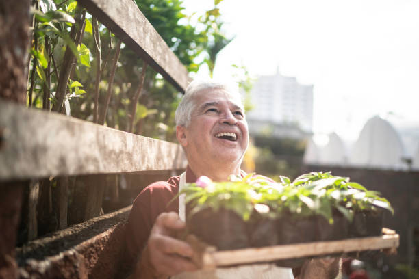 istock Senior florist holding a box with seedling 1171926258