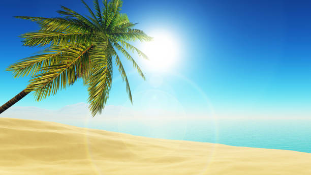 istock 3D tropical landscape with palm tree on beach 1171926273